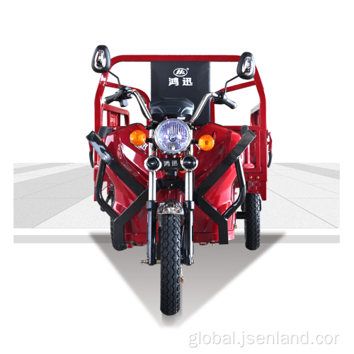 Adults Electric Tricycles Cargo